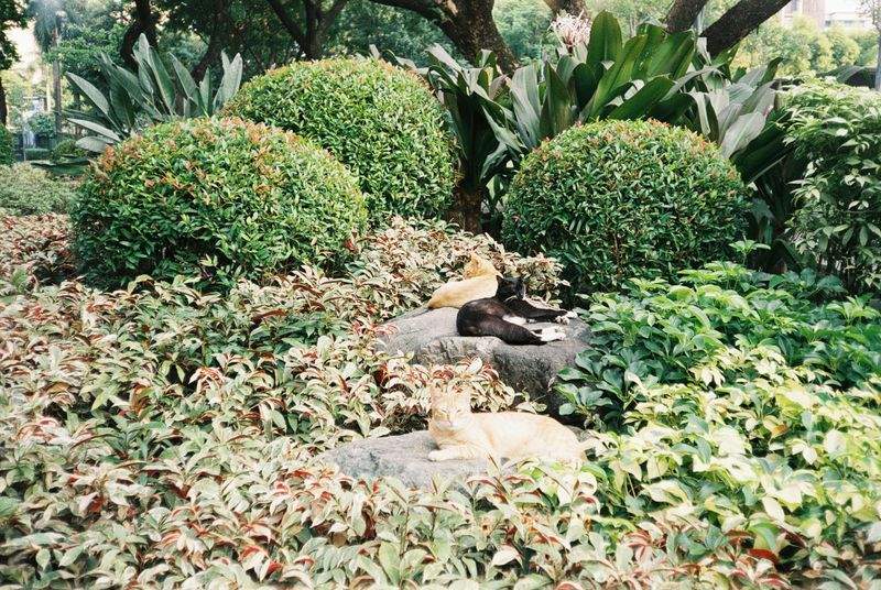 GartenZauber GmbH - Image 4