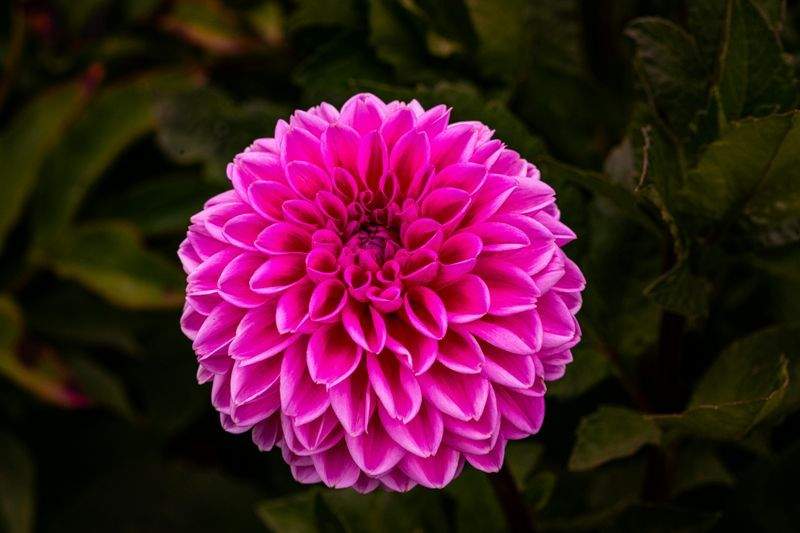 GartenZauber GmbH - Image 9